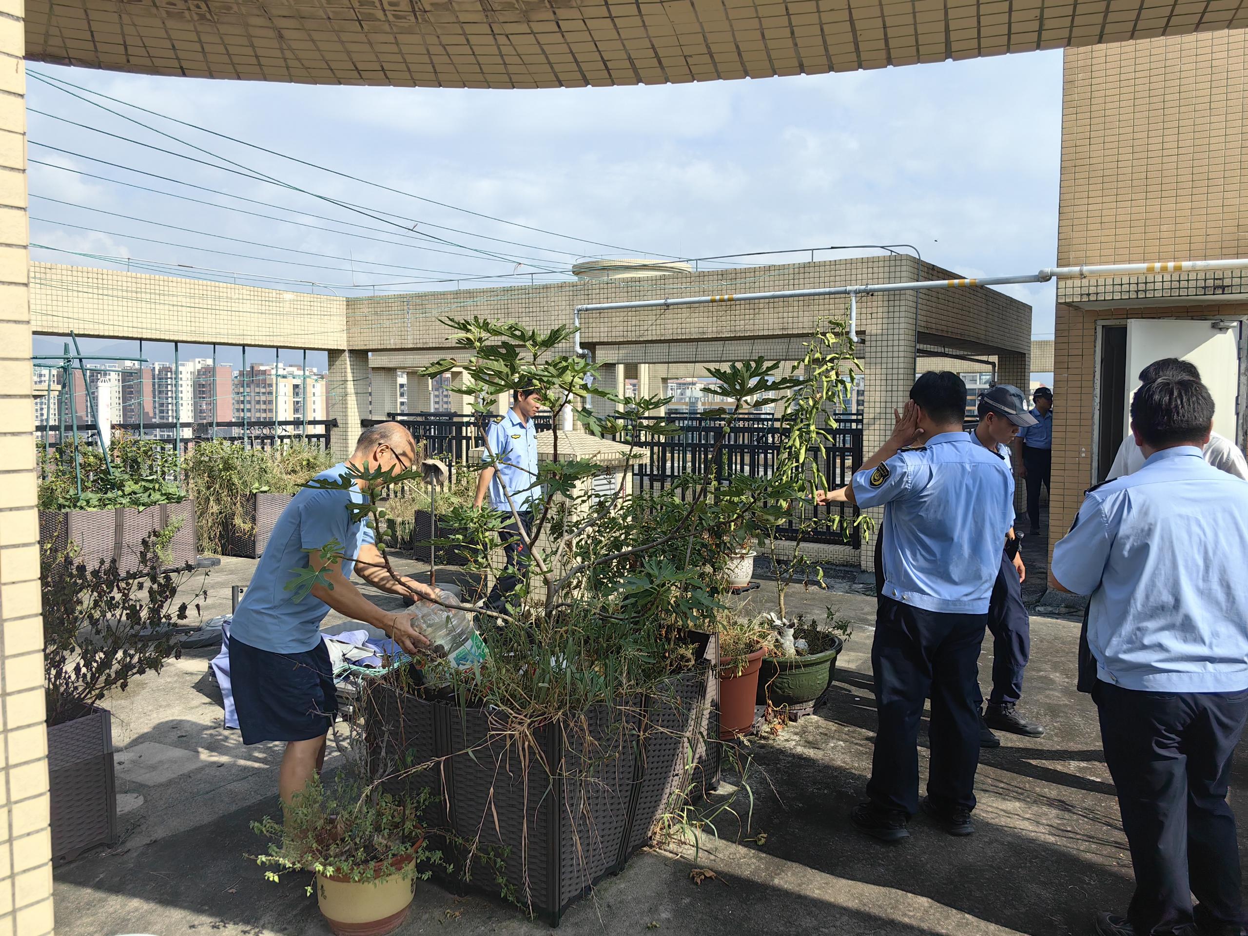執(zhí)法人員聯(lián)合社區(qū)到住宅樓頂開展環(huán)境衛(wèi)生檢查1.jpg